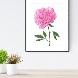 Create a Calming Atmosphere - Pink Peony Art Print